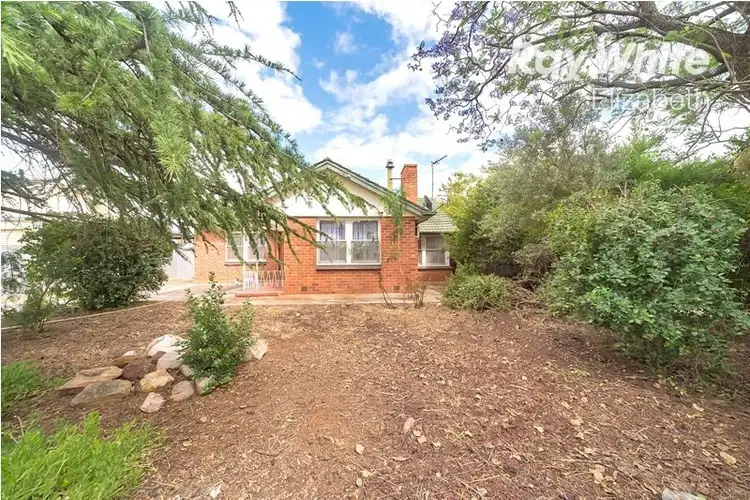 Second view of Homely house listing, 17 Bloomfield Crescent, Elizabeth Downs SA 5113