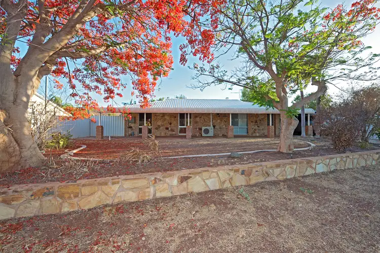 10 Cowan Way, Pegs Creek WA 6714