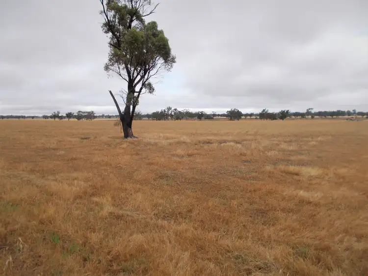 Second view of Homely rural property listing, Proposed Lot Finlayson Road, Bordertown SA 5268