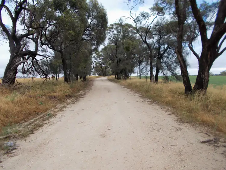 Third view of Homely rural property listing, Proposed Lot Finlayson Road, Bordertown SA 5268