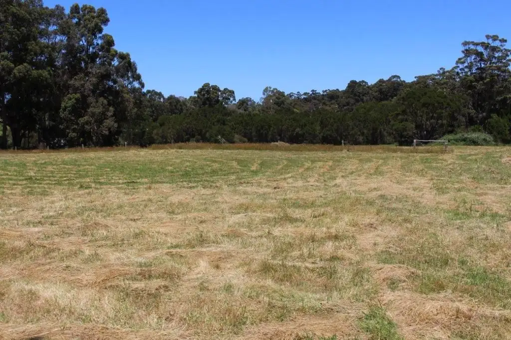 Main view of Homely land listing, 14 Buckley Street, Denmark WA 6333