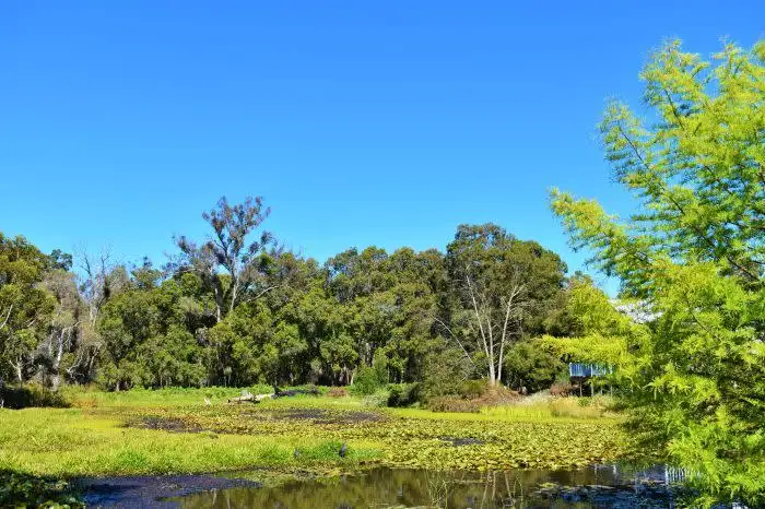 Main view of Homely land listing, 2 North Street, Nannup WA 6275