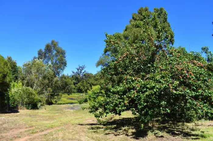 Second view of Homely land listing, 2 North Street, Nannup WA 6275