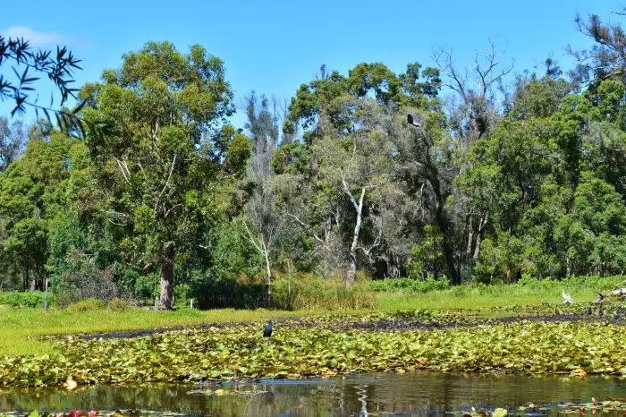 Fourth view of Homely land listing, 2 North Street, Nannup WA 6275