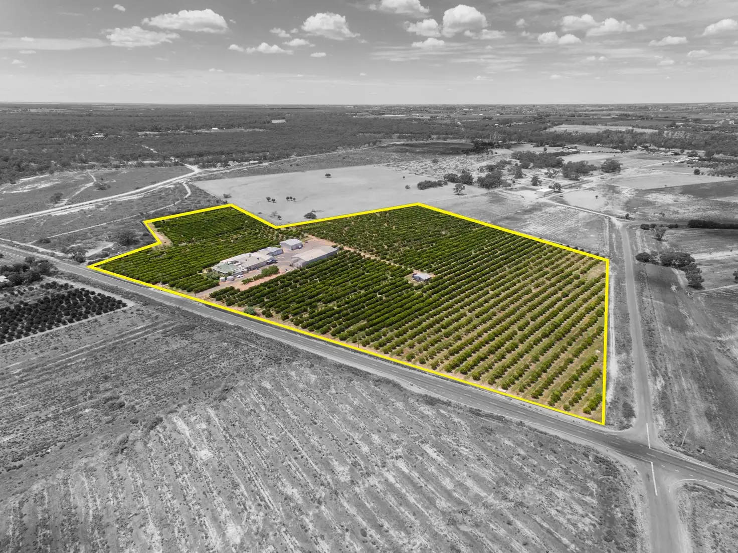 Main view of Homely rural property listing, 2265 Silver City Highway, Curlwaa NSW 2648