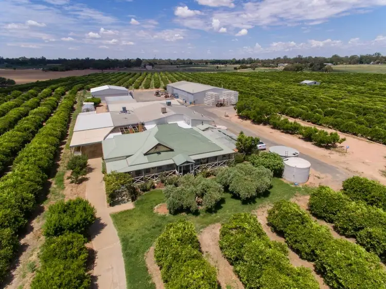 Second view of Homely rural property listing, 2265 Silver City Highway, Curlwaa NSW 2648