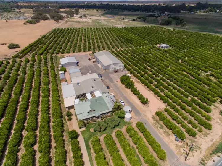 Third view of Homely rural property listing, 2265 Silver City Highway, Curlwaa NSW 2648