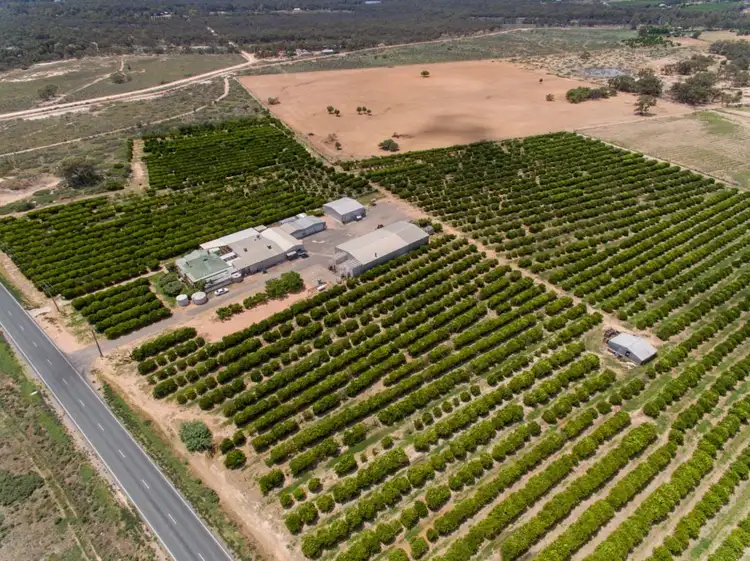 Fourth view of Homely rural property listing, 2265 Silver City Highway, Curlwaa NSW 2648