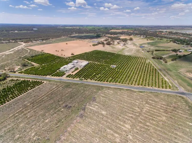 Fifth view of Homely rural property listing, 2265 Silver City Highway, Curlwaa NSW 2648