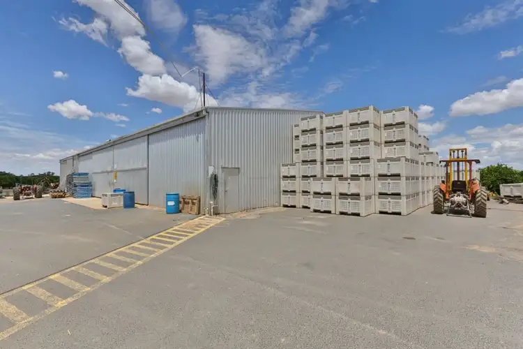 Sixth view of Homely rural property listing, 2265 Silver City Highway, Curlwaa NSW 2648