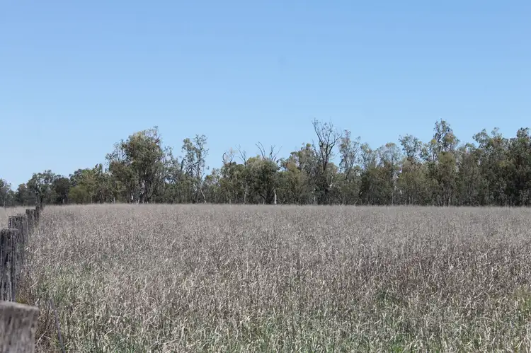 Third view of Homely rural property listing, . MEENAWARRA HOUSE Block, Cecil Plains QLD 4407