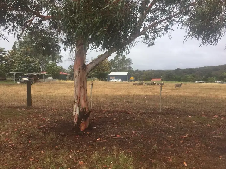 Main view of Homely land listing, 14 Wall Street, Cargo NSW 2800