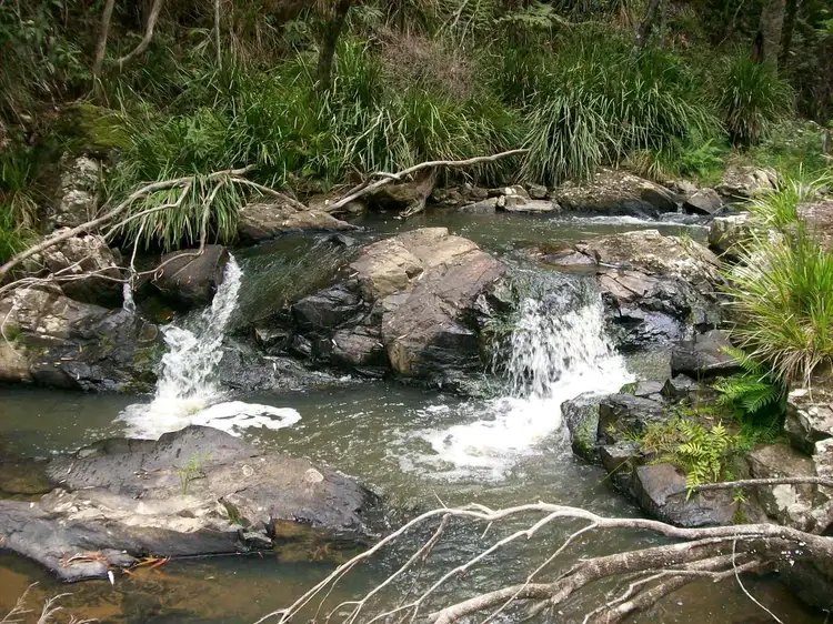 776 Lower Bielsdown Road Megan, Dorrigo NSW 2453