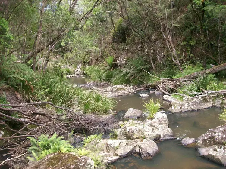 Second view of Homely rural property listing, 776 Lower Bielsdown Road Megan, Dorrigo NSW 2453