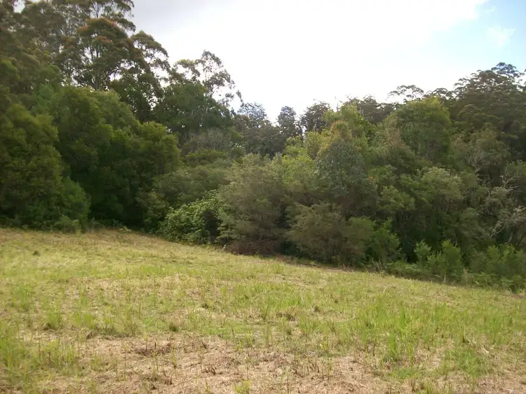 Third view of Homely rural property listing, 776 Lower Bielsdown Road Megan, Dorrigo NSW 2453