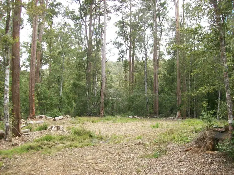Fourth view of Homely rural property listing, 776 Lower Bielsdown Road Megan, Dorrigo NSW 2453