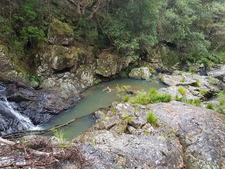 Fifth view of Homely rural property listing, 776 Lower Bielsdown Road Megan, Dorrigo NSW 2453