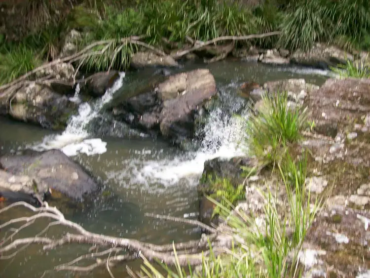 Seventh view of Homely rural property listing, 776 Lower Bielsdown Road Megan, Dorrigo NSW 2453