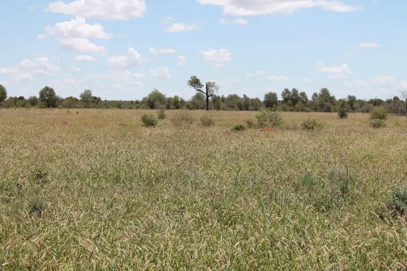 Main view of Homely rural property listing, 23365 MOONIE Highway, St George QLD 4487