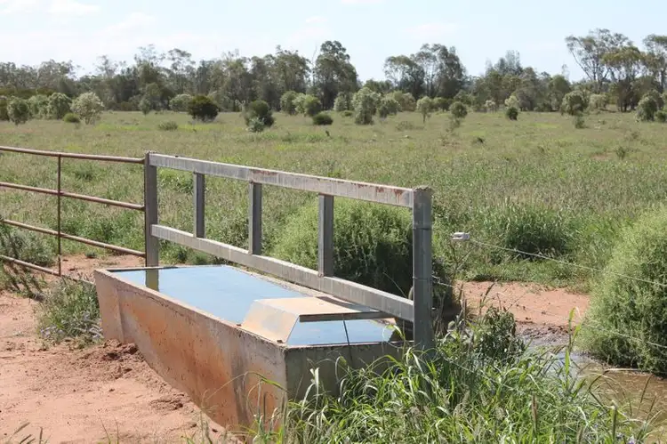 Third view of Homely rural property listing, 23365 MOONIE Highway, St George QLD 4487