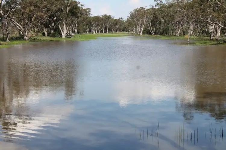 Fifth view of Homely rural property listing, 23365 MOONIE Highway, St George QLD 4487