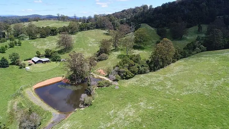 Main view of Homely rural property listing, 72 Briggsvale Road, Dorrigo NSW 2453