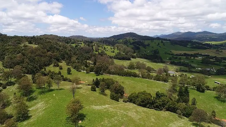 Third view of Homely rural property listing, 72 Briggsvale Road, Dorrigo NSW 2453