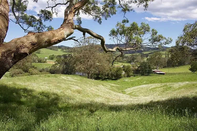 Fourth view of Homely rural property listing, 72 Briggsvale Road, Dorrigo NSW 2453