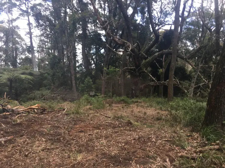 Second view of Homely rural property listing, 82 Mount Street Dundurrabin, Dorrigo NSW 2453