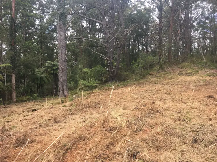 Third view of Homely rural property listing, 82 Mount Street Dundurrabin, Dorrigo NSW 2453