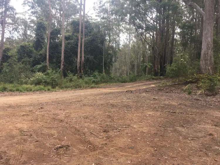 Third view of Homely rural property listing, 82a Mount Street Dundurrabin, Dorrigo NSW 2453