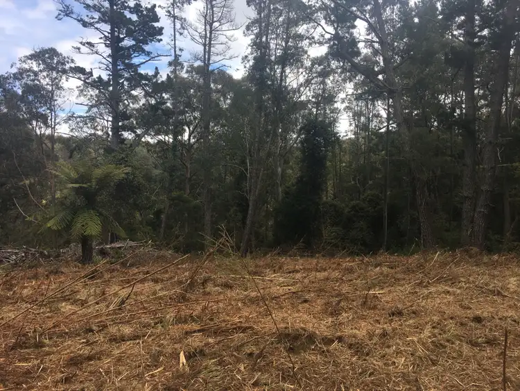 Fifth view of Homely rural property listing, 82a Mount Street Dundurrabin, Dorrigo NSW 2453