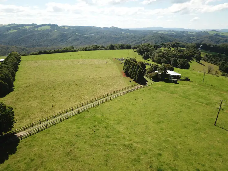 Second view of Homely rural property listing, 5050 Waterfall Way, Dorrigo NSW 2453