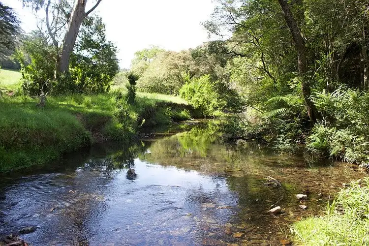 Fifth view of Homely rural property listing, 5050 Waterfall Way, Dorrigo NSW 2453