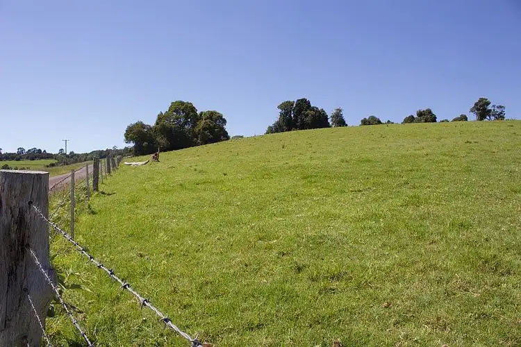 Seventh view of Homely rural property listing, 5050 Waterfall Way, Dorrigo NSW 2453