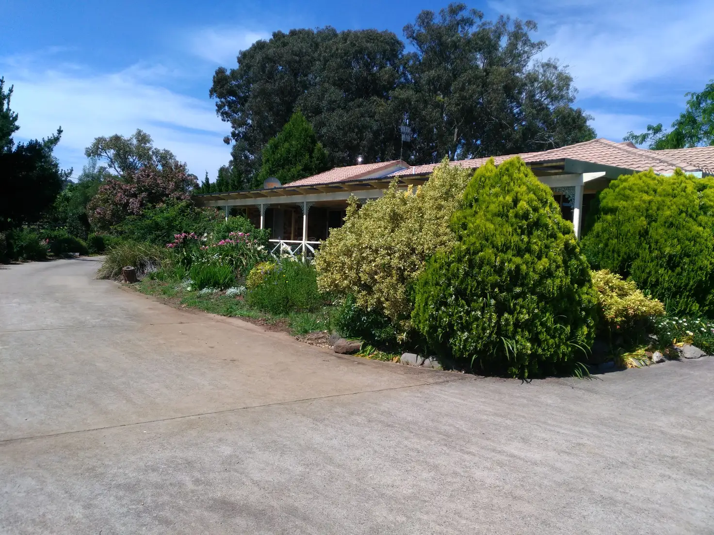 Main view of Homely house listing, 16 Thomas, Glen Innes NSW 2370