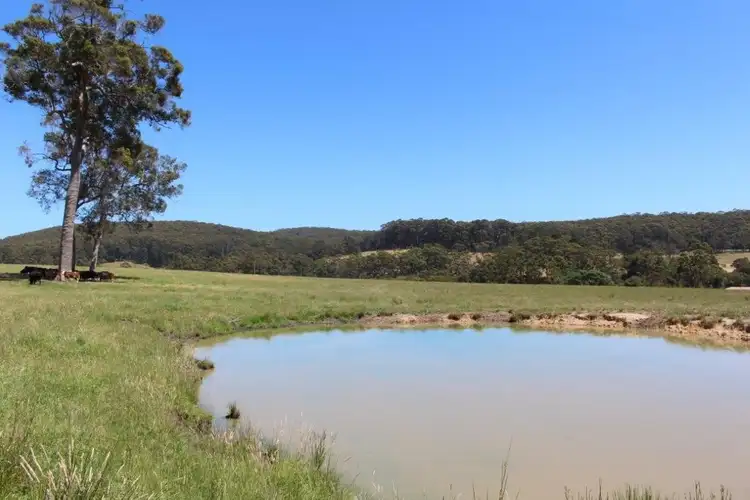 Second view of Homely rural property listing, 809 Scotsdale Road, Denmark WA 6333