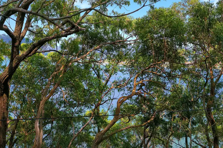 Fifth view of Homely land listing, 3 Hardys Bay Parade, Killcare NSW 2257