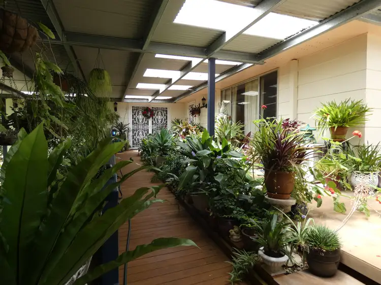 Main view of Homely rural property listing, 5 Rocky Creek Road, Dorrigo NSW 2453