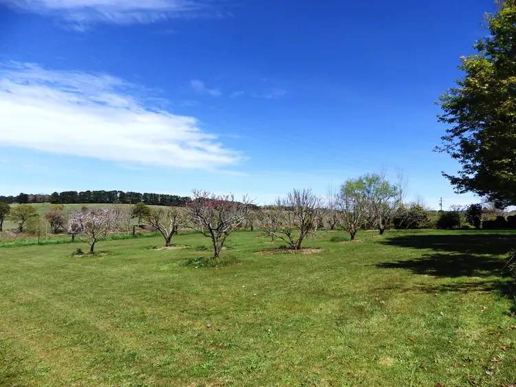 Second view of Homely rural property listing, 5 Rocky Creek Road, Dorrigo NSW 2453