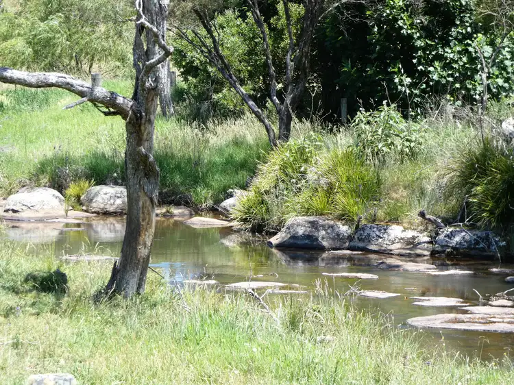 Third view of Homely rural property listing, 5 Rocky Creek Road, Dorrigo NSW 2453