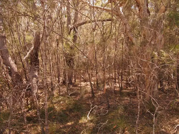 Fifth view of Homely land listing, 38 Ti Tree Rd East, Booral QLD 4655