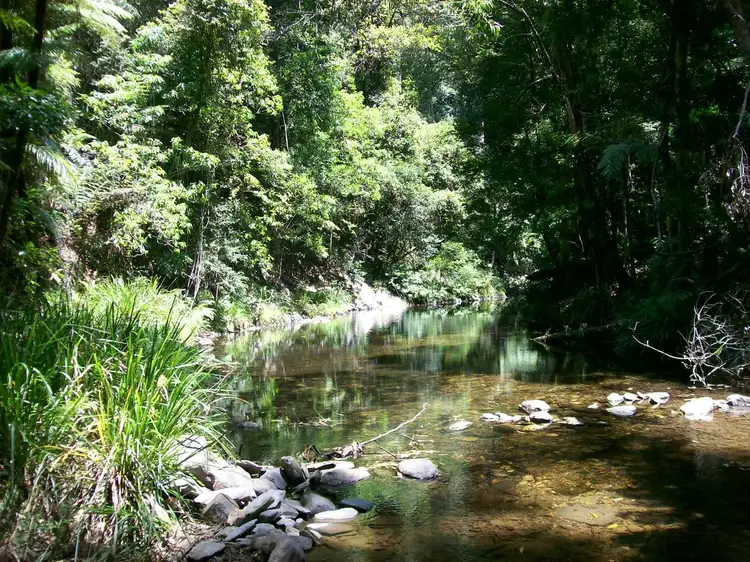 3566 Kalang Road Kalang, Bellingen NSW 2454