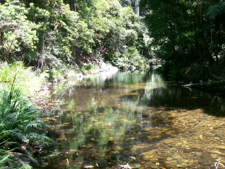 Sixth view of Homely rural property listing, 3566 Kalang Road Kalang, Bellingen NSW 2454