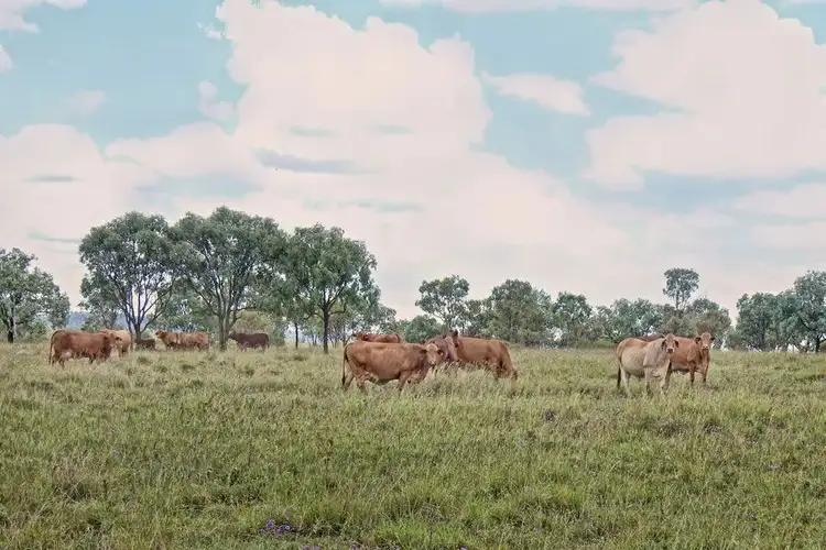 Second view of Homely rural property listing, "Bardia" 2627 Baralaba-Rannes Road, Baralaba QLD 4702