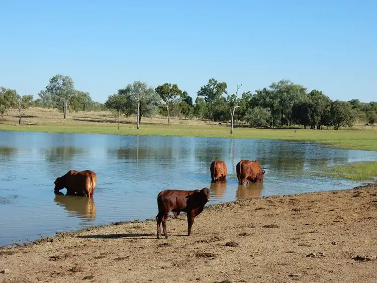 Third view of Homely rural property listing, "Bardia" 2627 Baralaba-Rannes Road, Baralaba QLD 4702