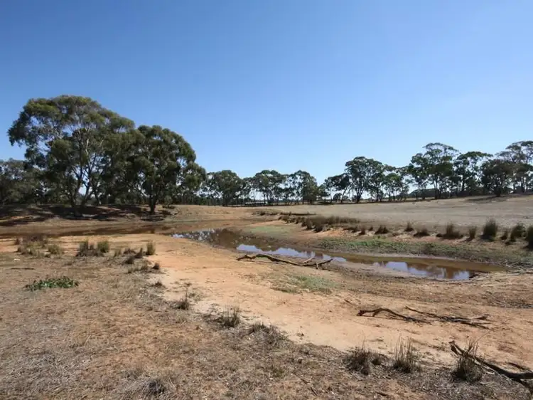 Main view of Homely rural property listing, 569 Wychitella Road, Wedderburn VIC 3518