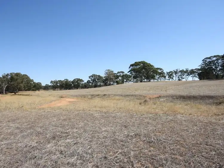 Second view of Homely rural property listing, 569 Wychitella Road, Wedderburn VIC 3518