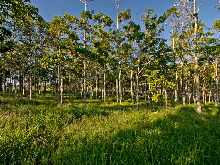 Third view of Homely land listing, Address available on request