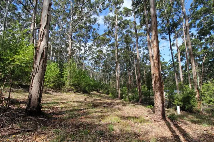 Lot 209 Adams Road, Denmark WA 6333
